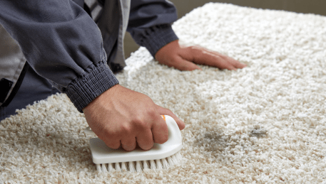 Professional Rug Cleaning Yan Yean